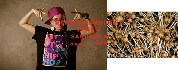 мдма Белокуриха