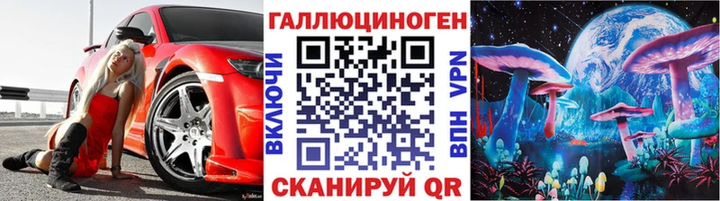 Псилоцибиновые грибы Psilocybine cubensis  Верхний Тагил 